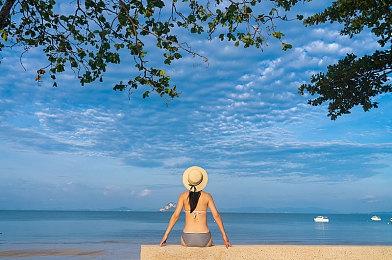 极简主义城市建造游戏《堡垒：猎鹰战纪》 现已在Steam平台正式发售